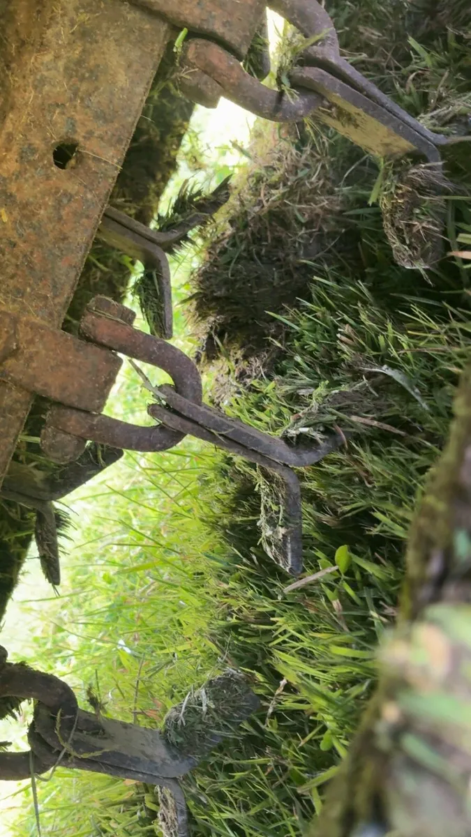 Quad Mulcher - Image 4