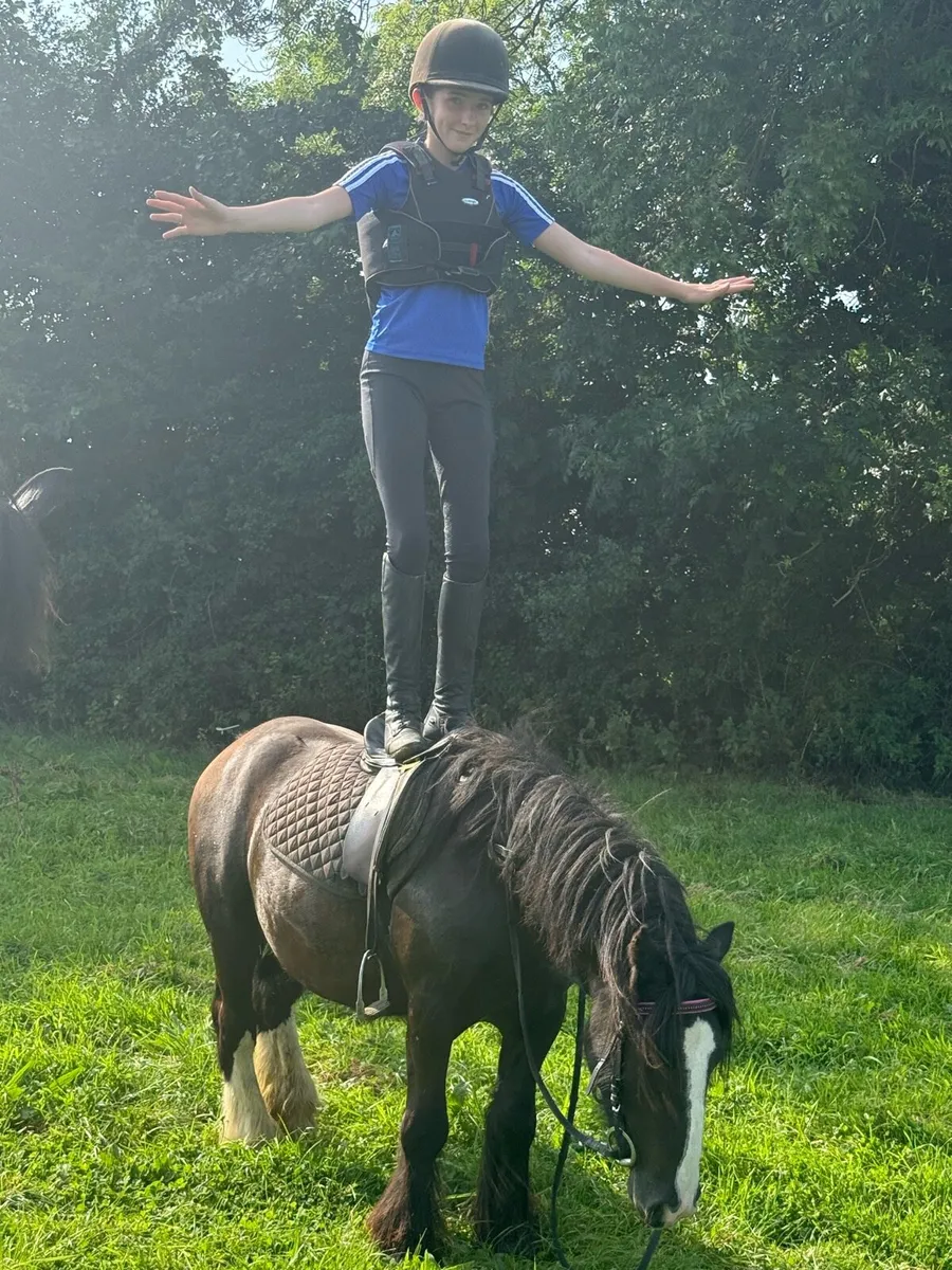 Full 12.2 pony - Image 2