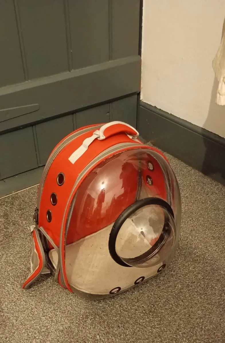 Cat back pack Carrier - Image 1