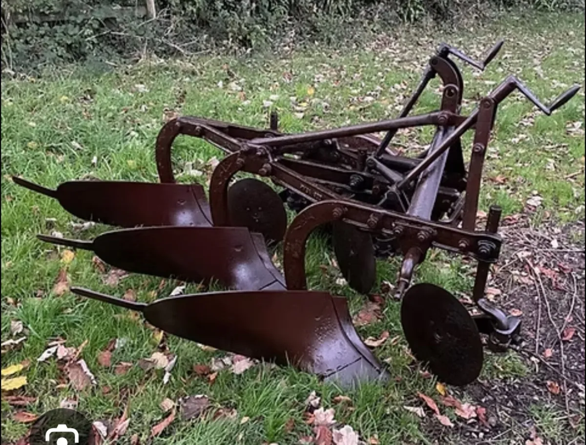 Restoration projects - Image 3