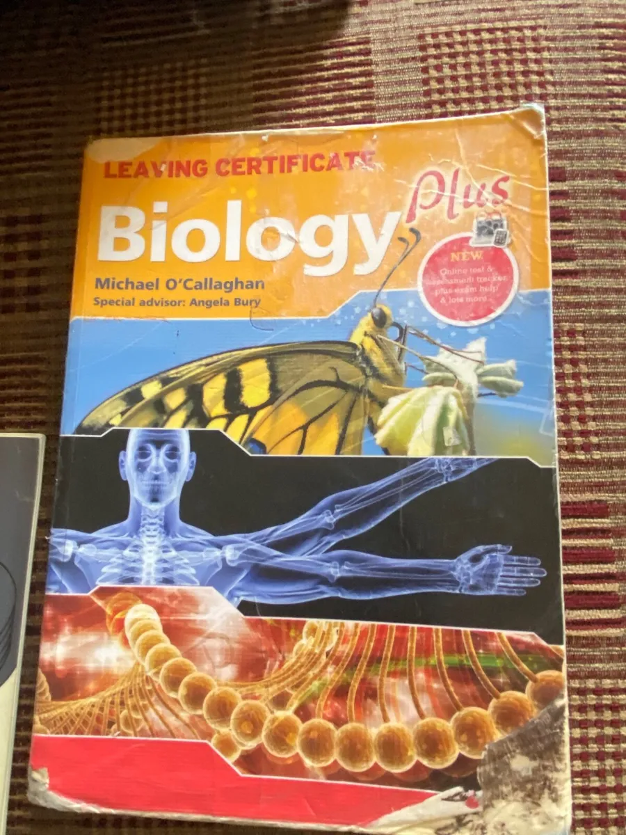 School book