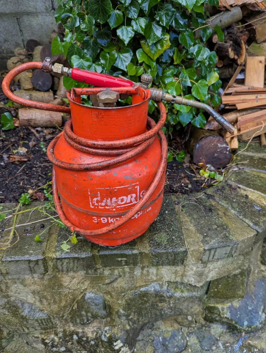 Calor Gas bottle with torch - Image 4