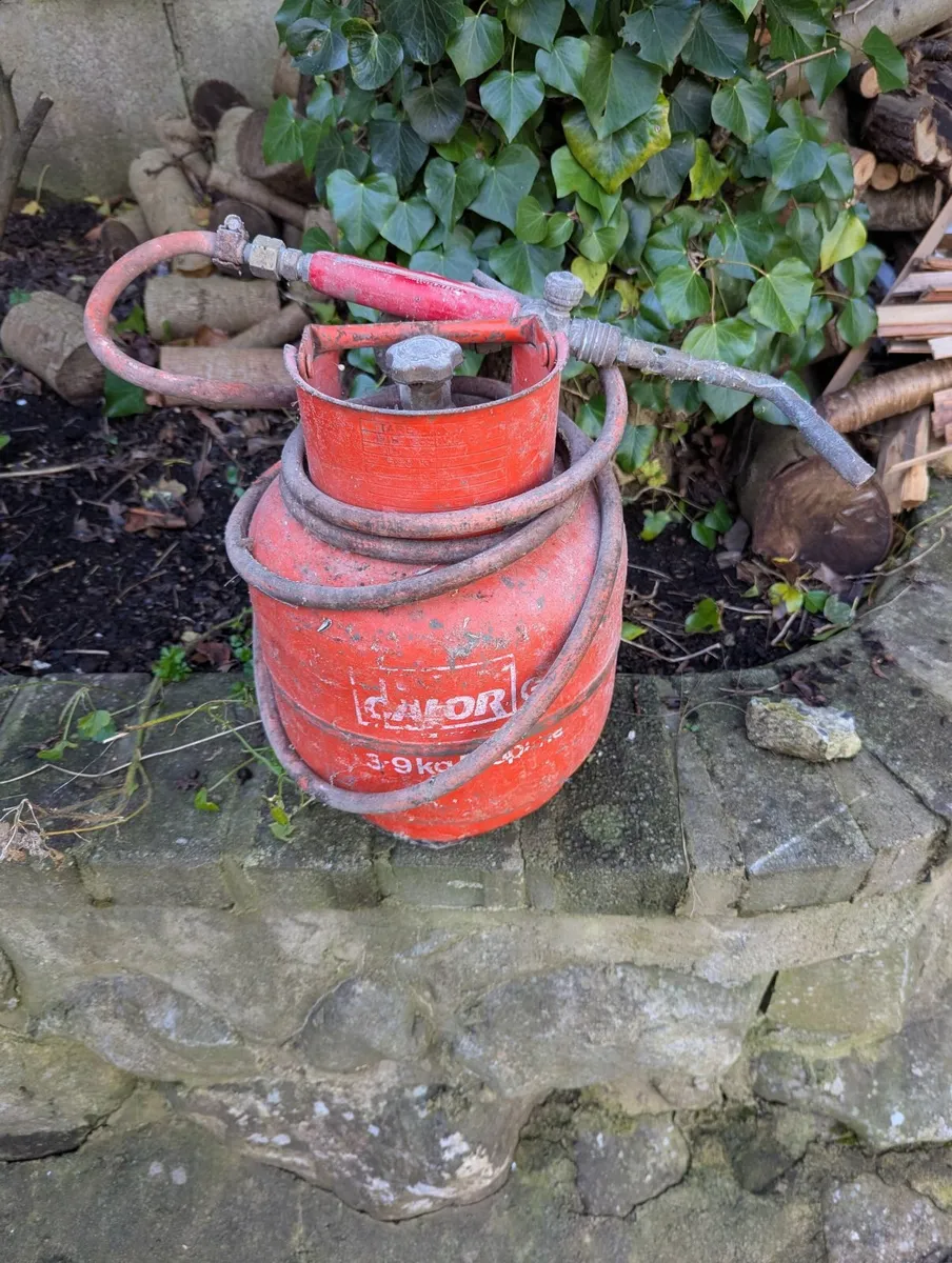 Calor Gas bottle with torch - Image 1