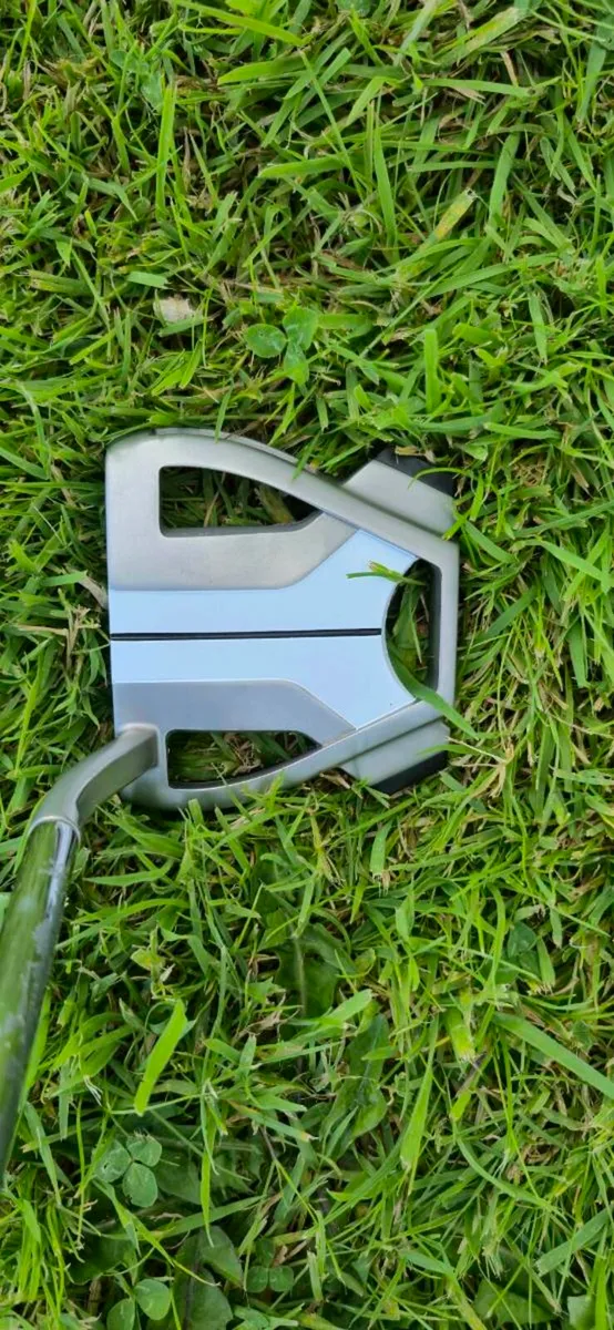 Taylormade Spider - Image 1
