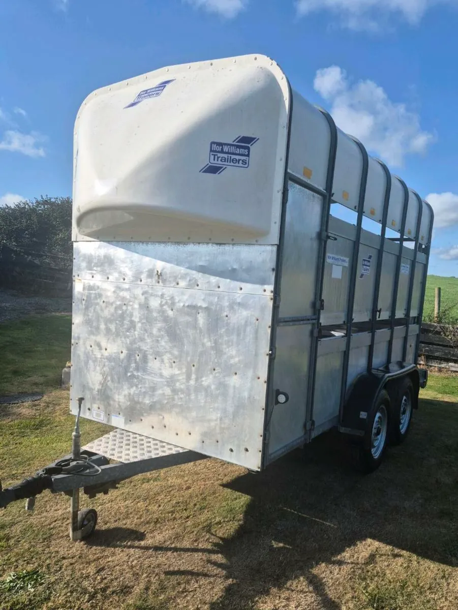 Ifor williams 12 x 5 x 7 horse l/ cattle trailer - Image 3