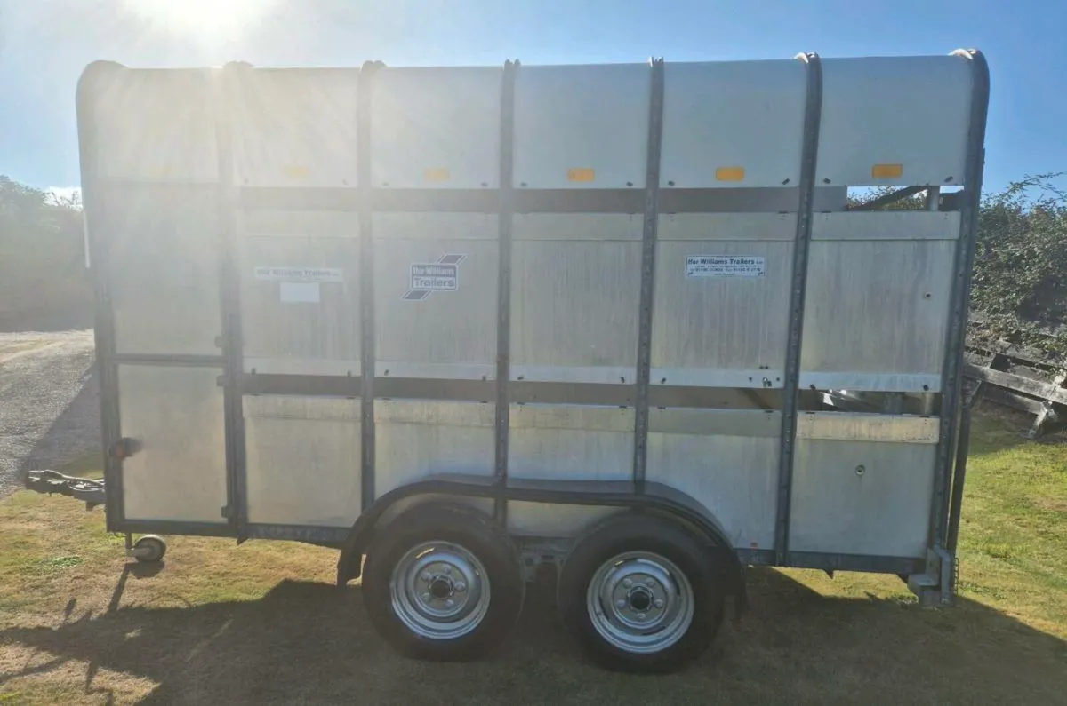 Ifor williams 12 x 5 x 7 horse l/ cattle trailer - Image 4