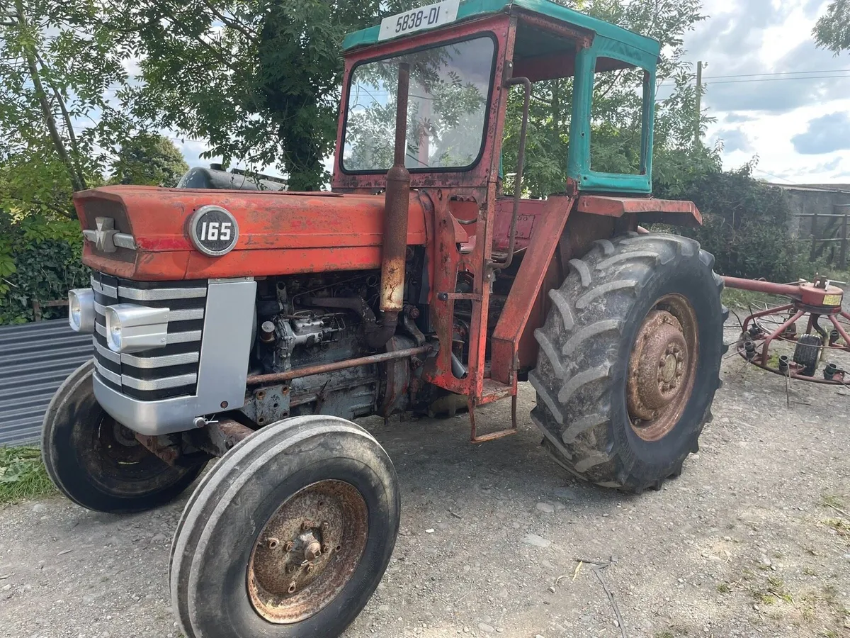 Massey 165 & pz 300 Haybob - Image 2