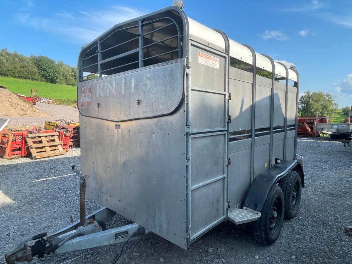 Hudson 10x6 cattle trailer - Image 1