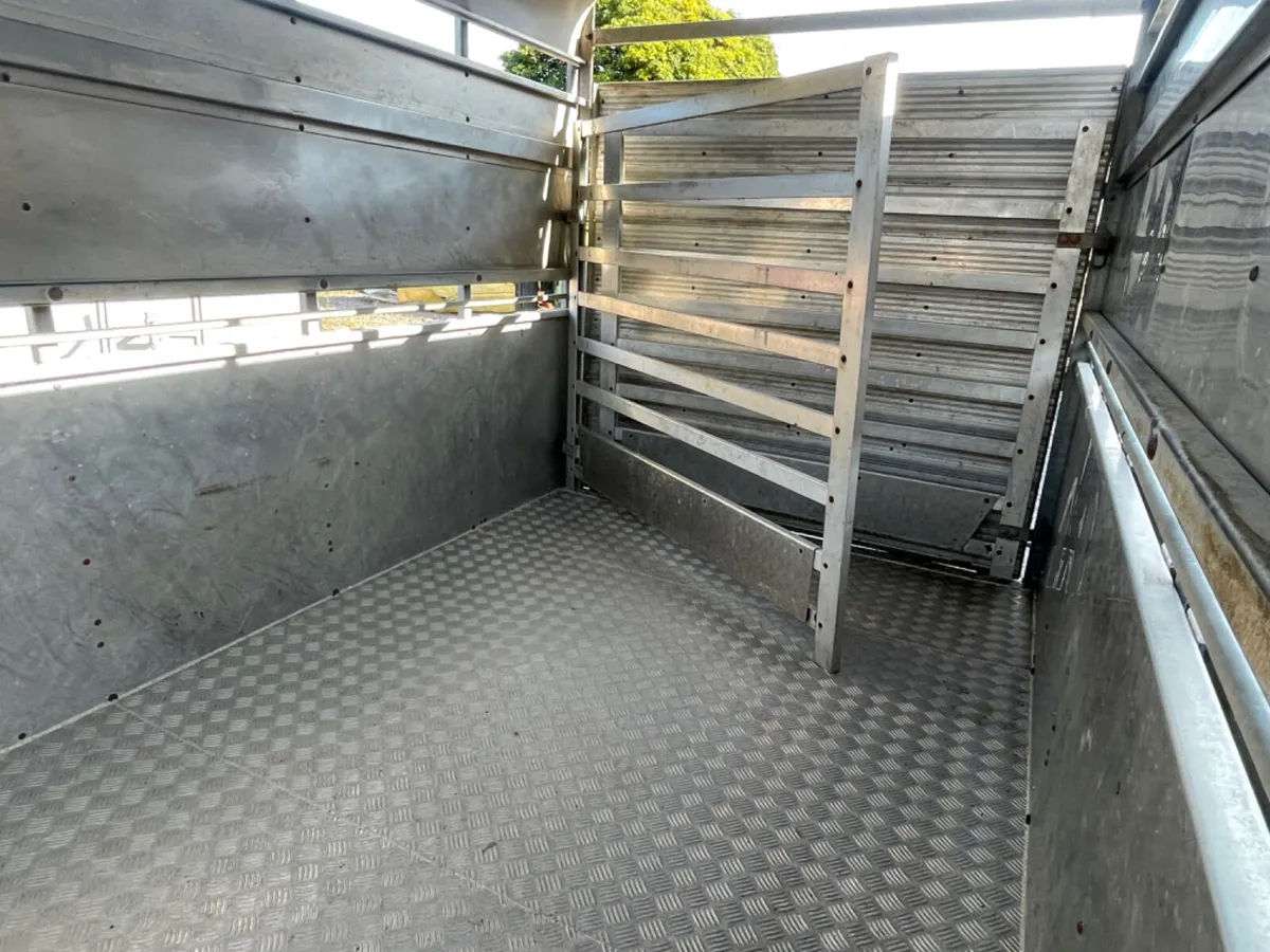 Hudson 10x6 cattle trailer - Image 3