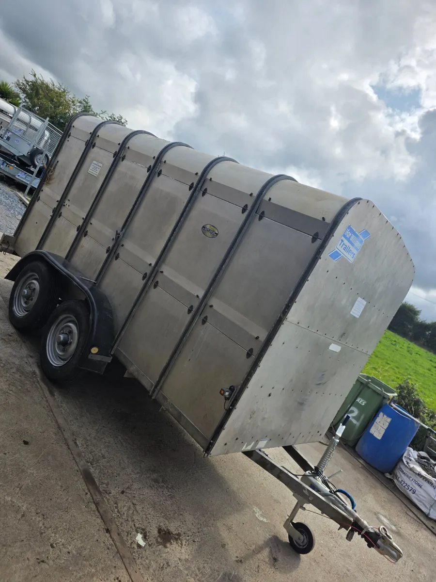 12ft ifor Williams livestock trailer - Image 1