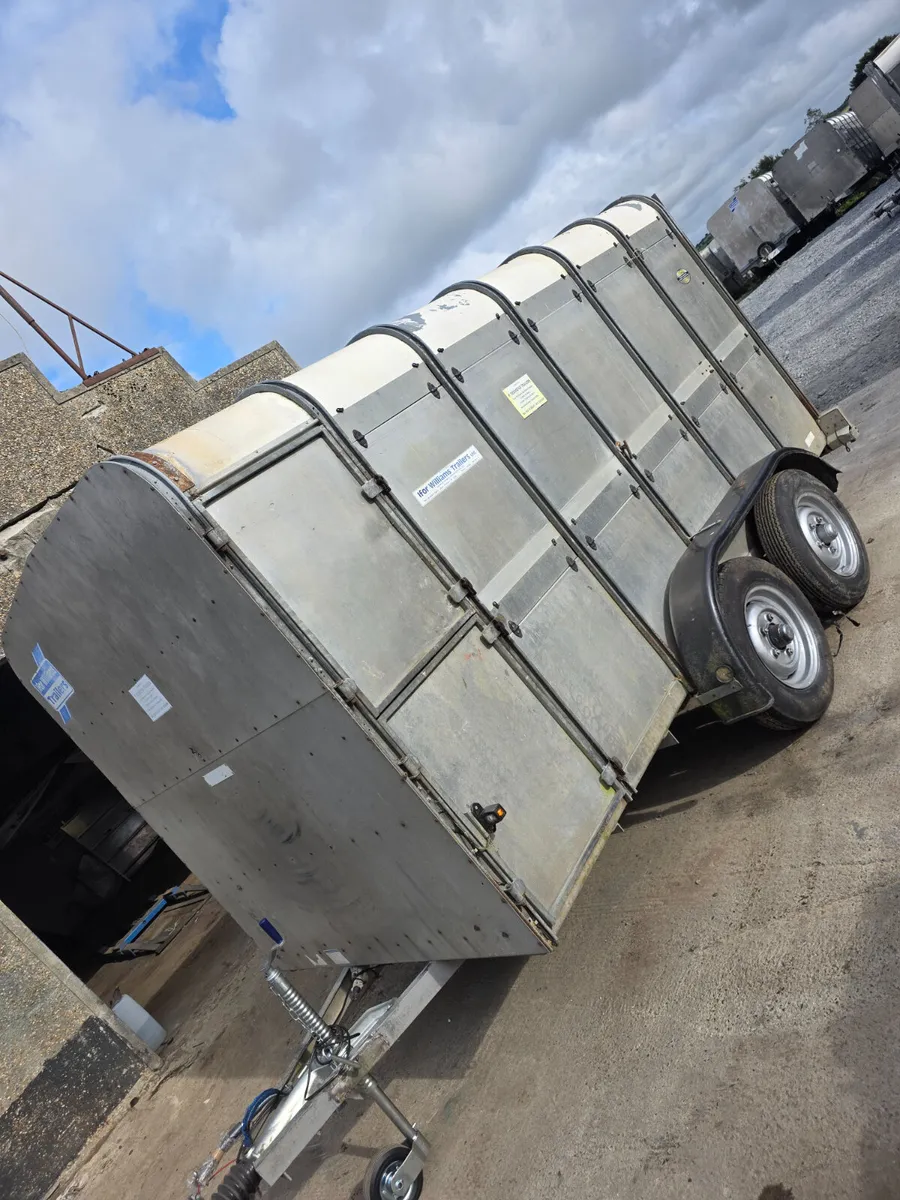 12ft ifor Williams livestock trailer - Image 3