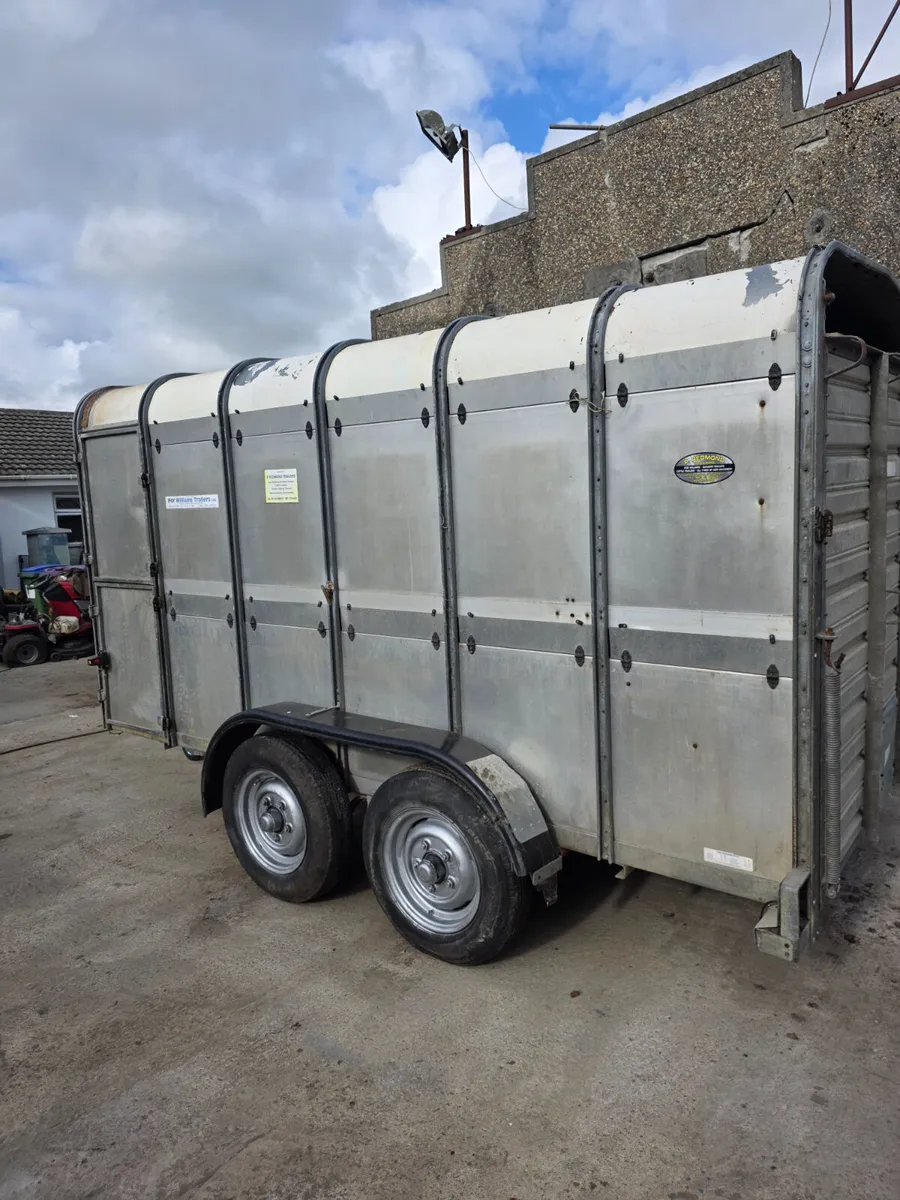 12ft ifor Williams livestock trailer - Image 4