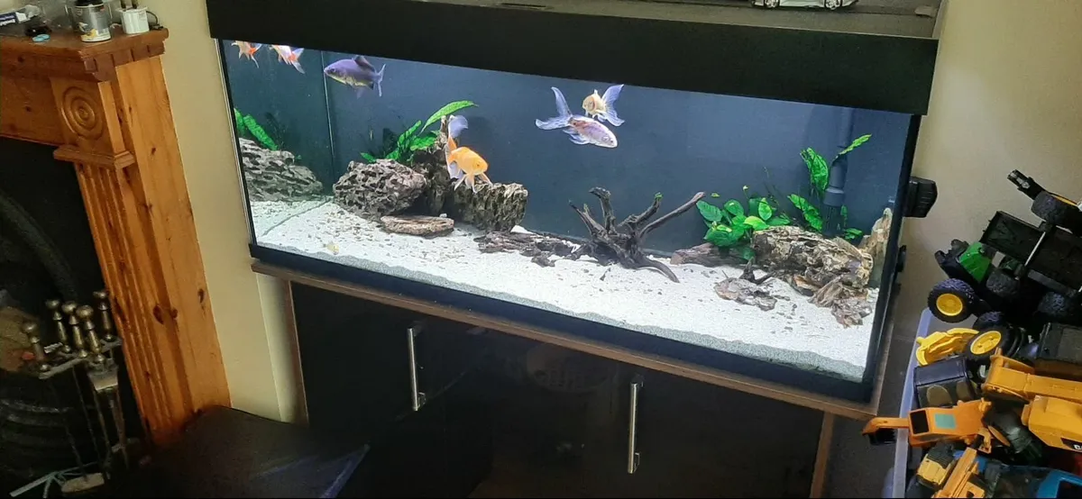 250 litre fish tank - Image 3