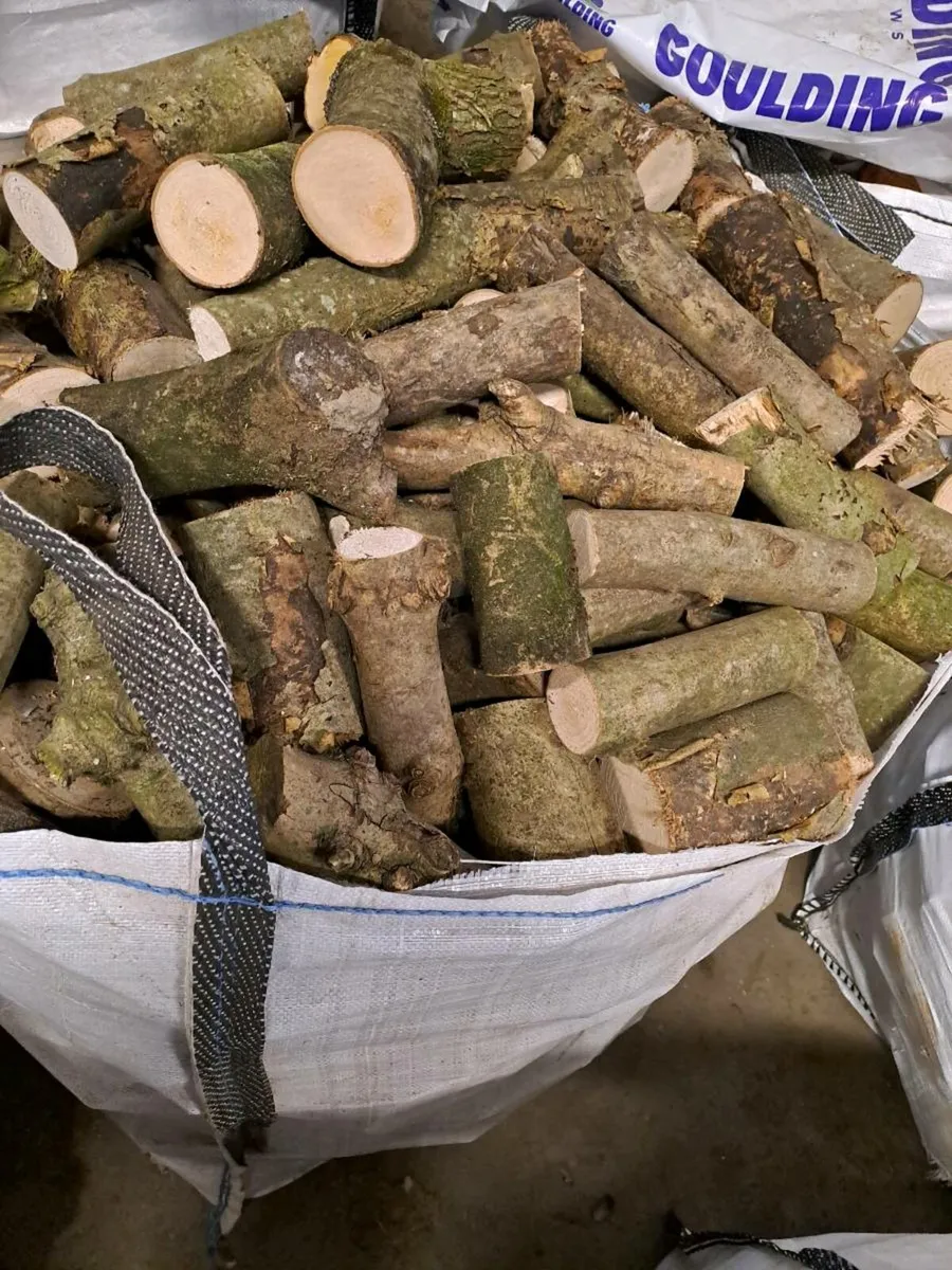 Firewood - Image 2