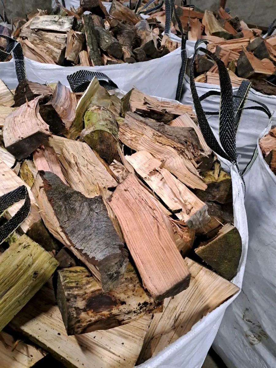 Firewood - Image 4