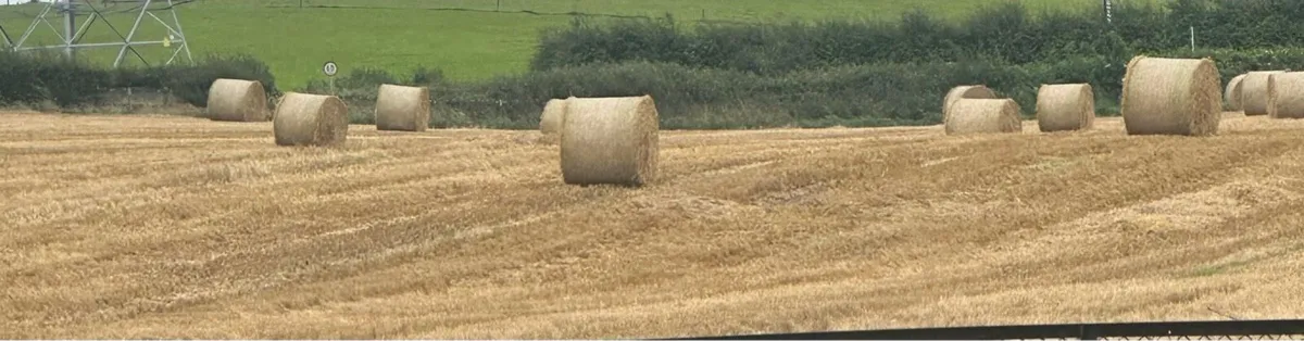 Barley Straw round bales - Image 2