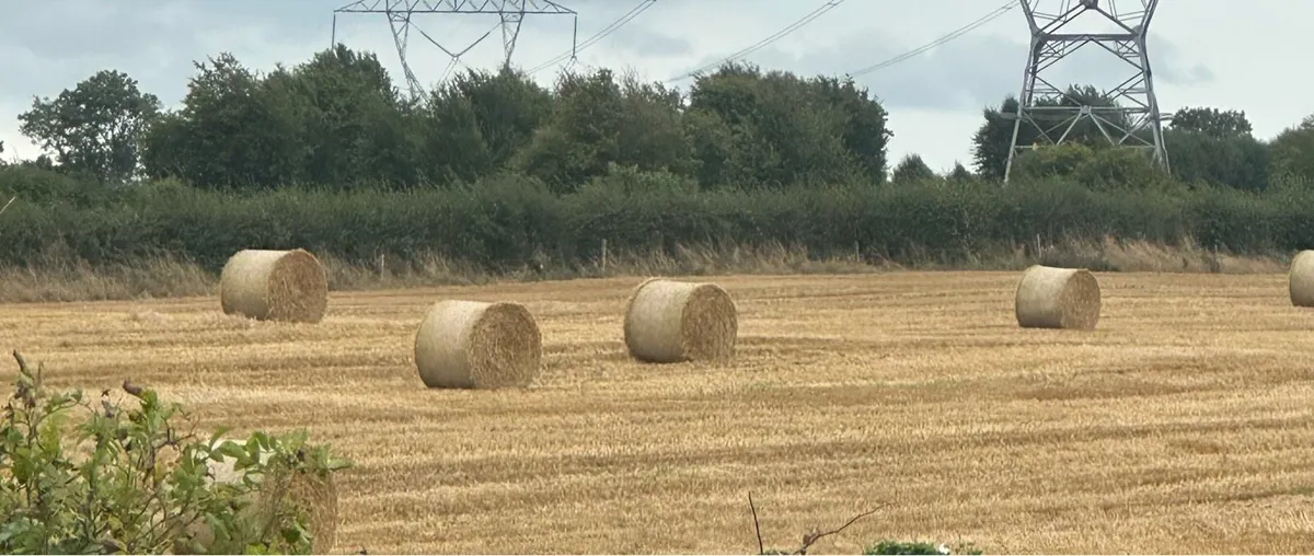 Barley Straw round bales - Image 3