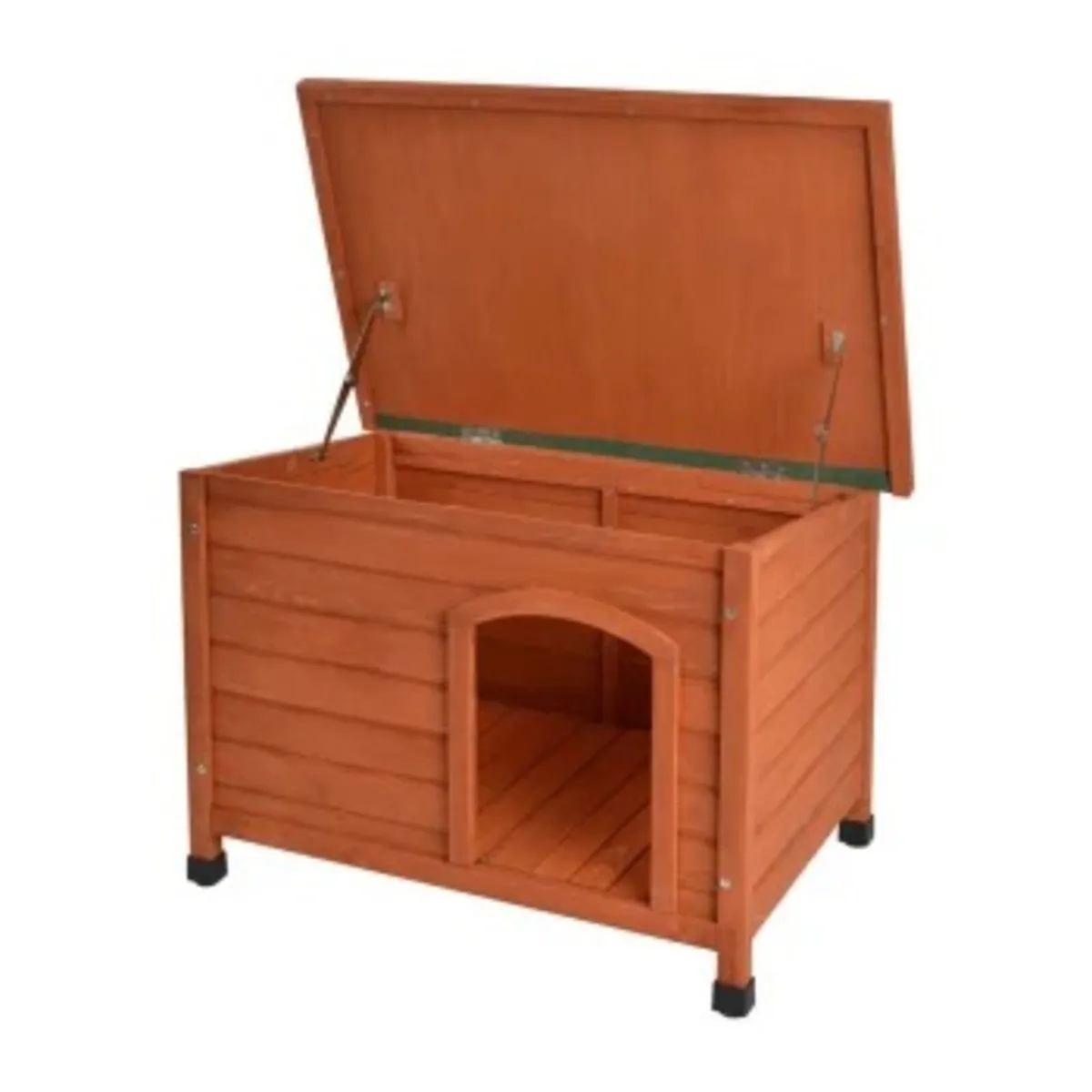 AniOne Kennel - Image 2