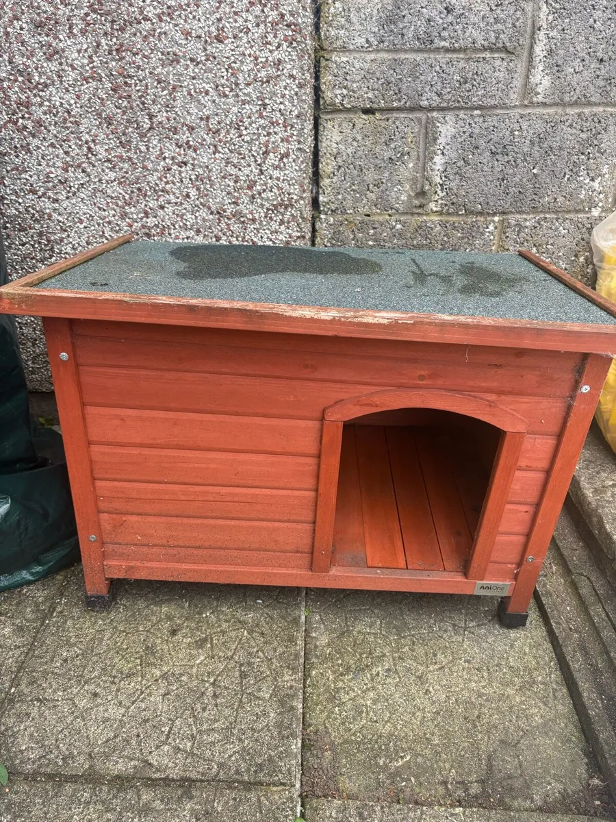 AniOne Kennel - Image 3