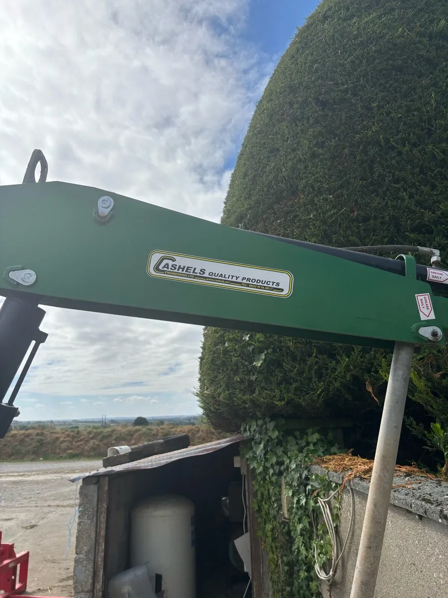 Cashel crane - Image 3