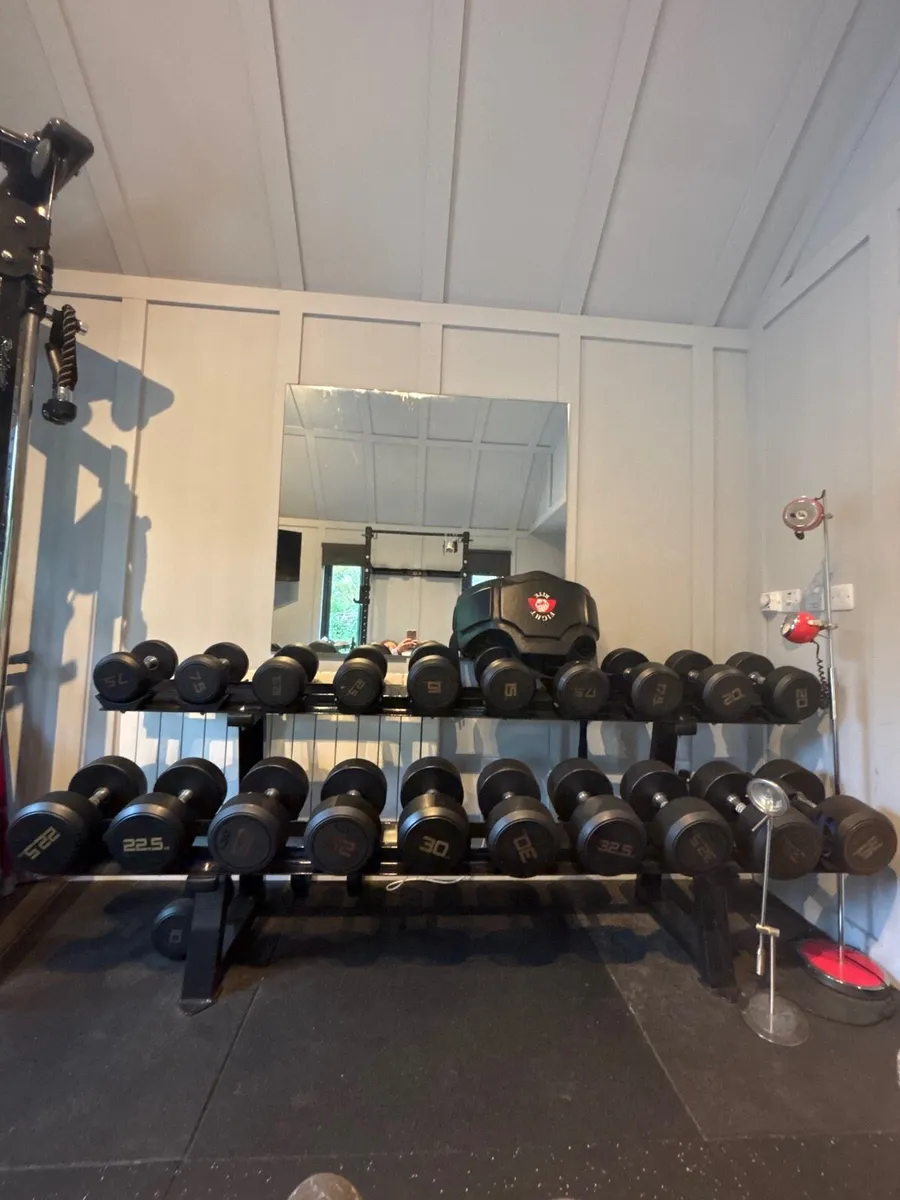 Dumbbells - Image 2