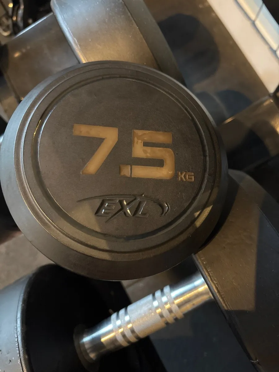 Dumbbells - Image 3