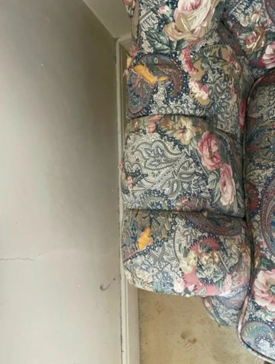 Sofa & Arm Chair - Image 4