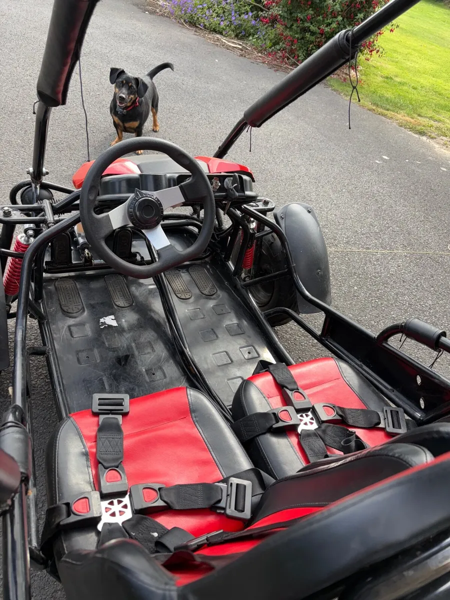 Quadzilla Wolf XL Buggy (Deposit taken) - Image 3