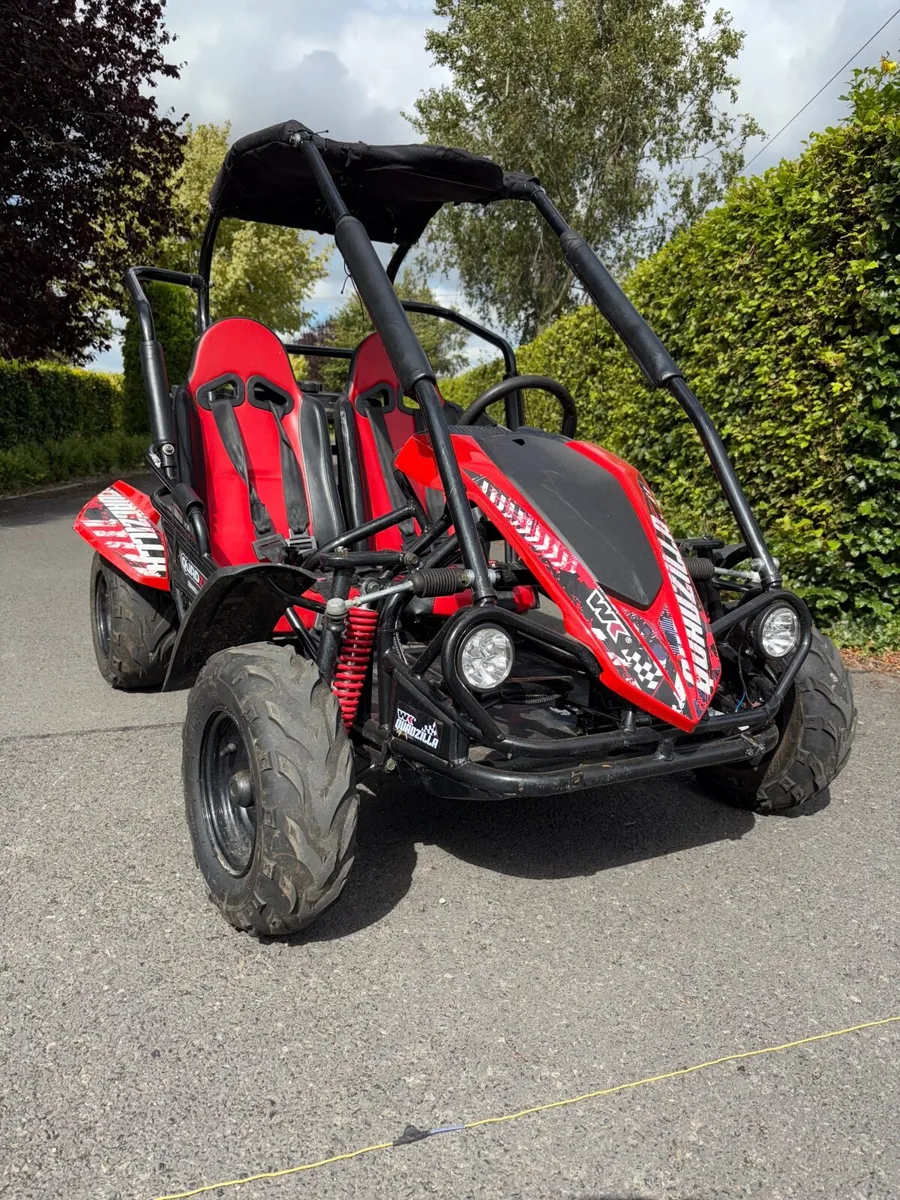 Quadzilla Wolf XL Buggy (Deposit taken) - Image 2