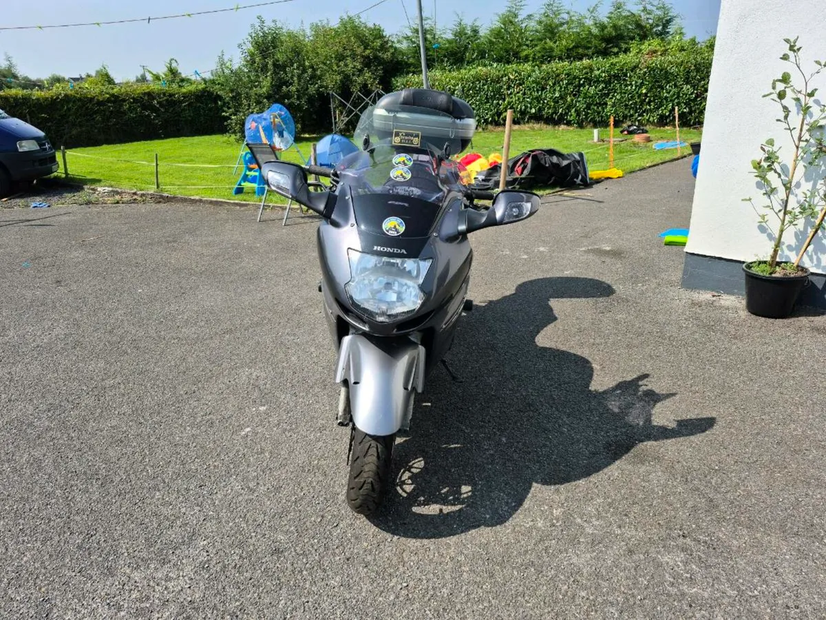 Honda Blackbird - Image 2