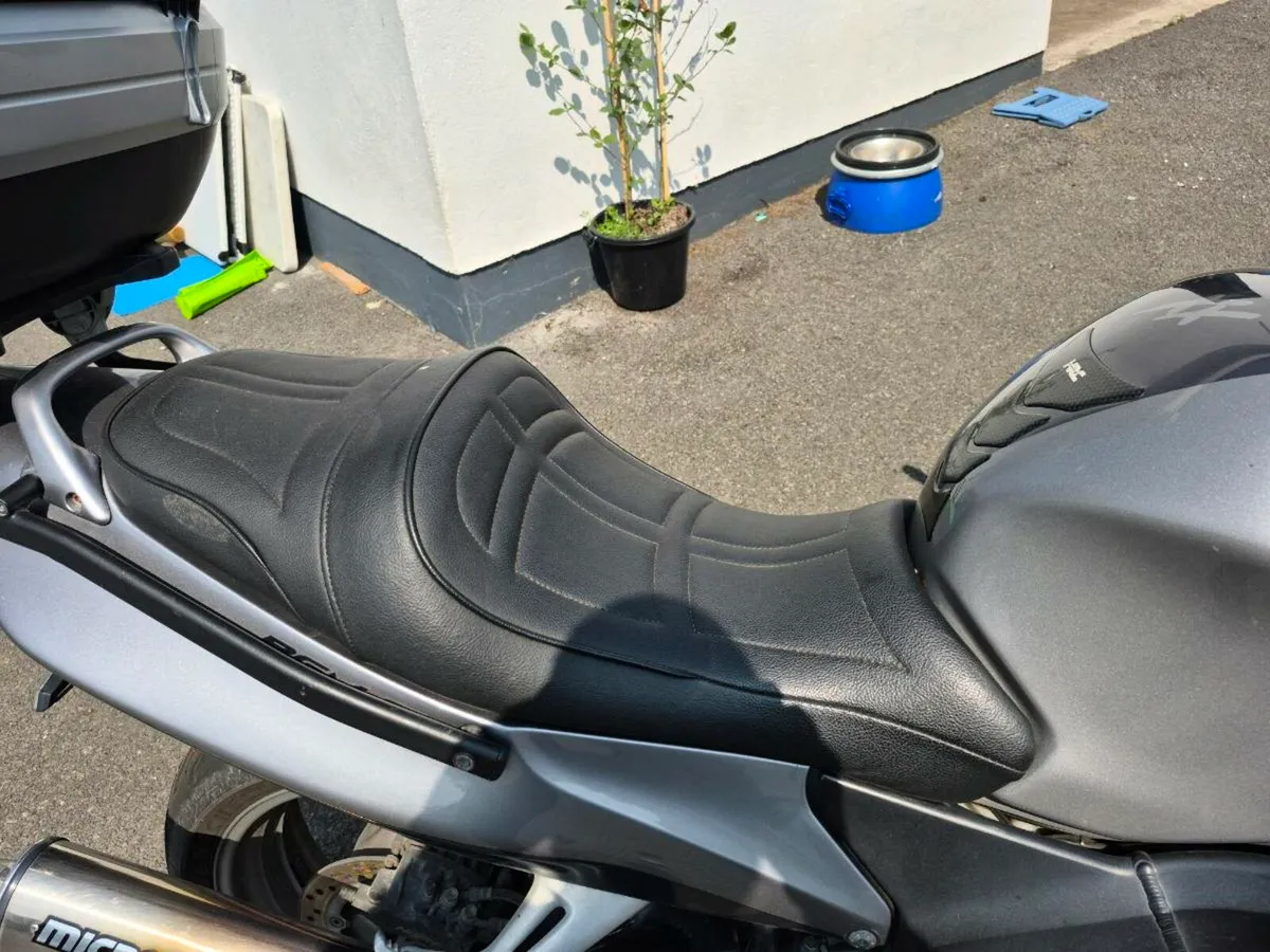 Honda Blackbird - Image 4