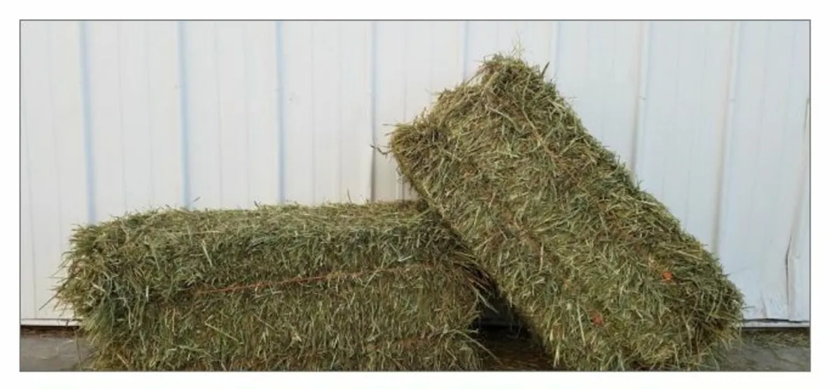 Quality  Alfalfa Hay  , Timothy Alfalfa Mix Hay , - Image 2