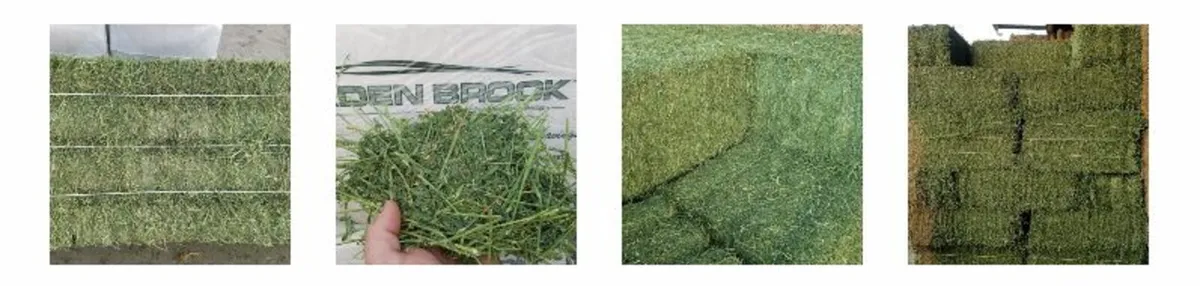 Quality  Alfalfa Hay  , Timothy Alfalfa Mix Hay , - Image 4
