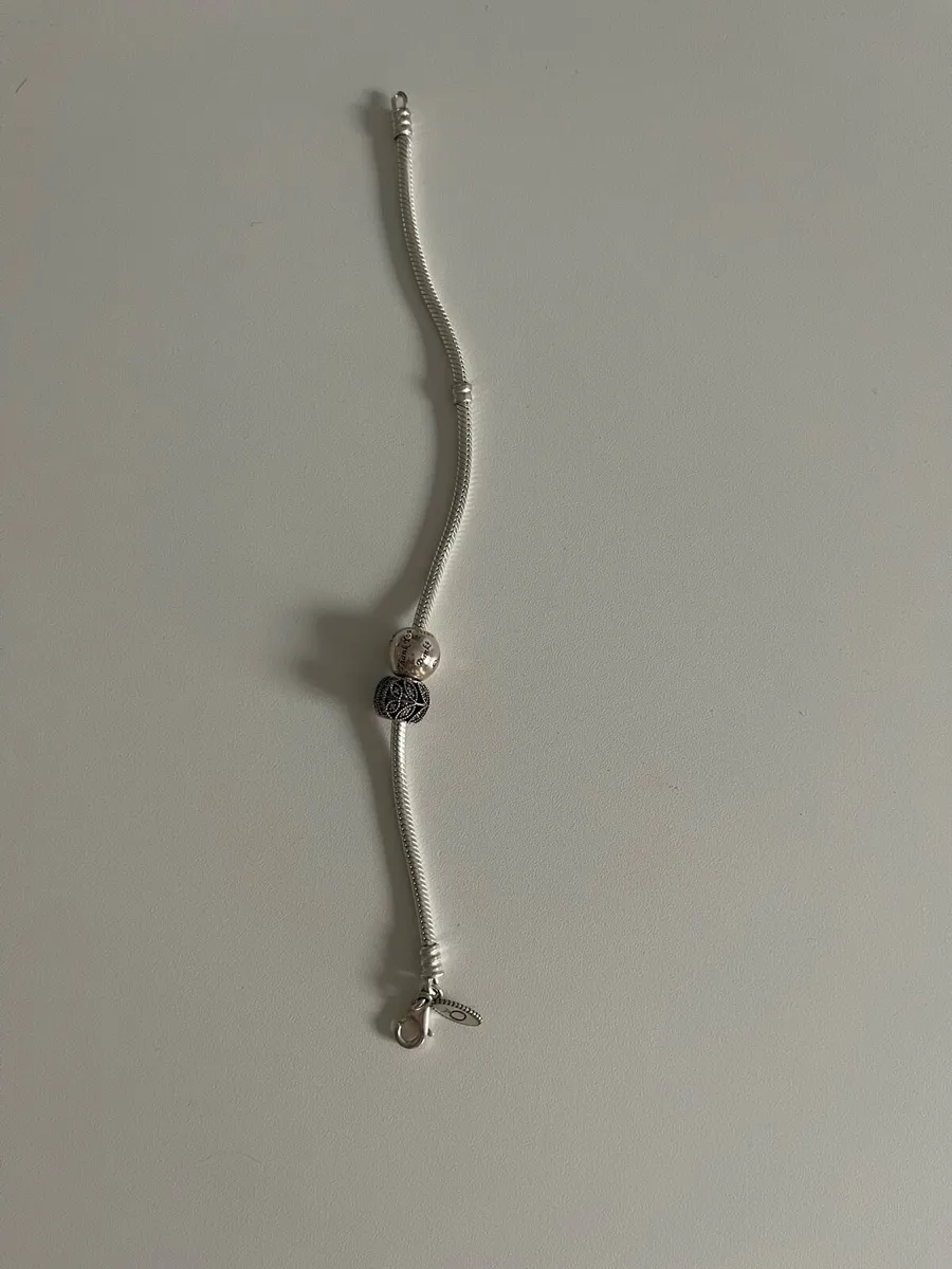 Pandora bracelet & charms - Image 1