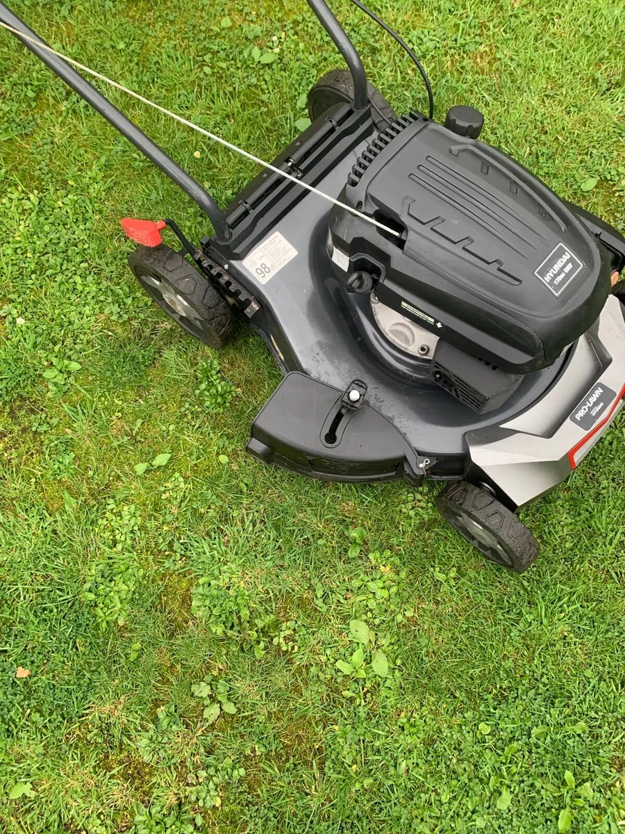 Lawnmower - Image 1