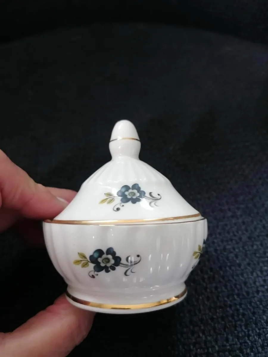 Vintage Blue Cornflower Royal Tara Mustard Pot - Image 3