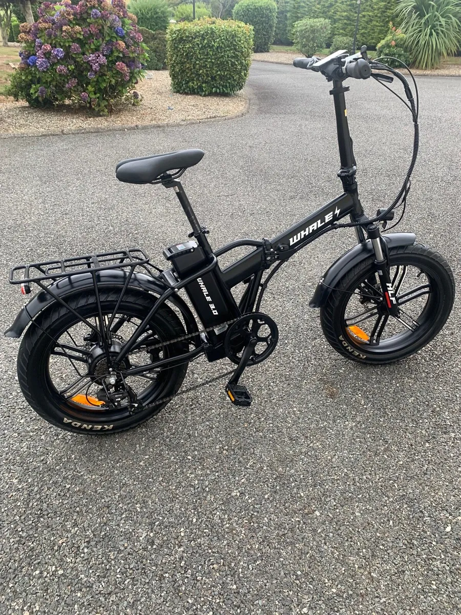 Electric Bike - Image 1