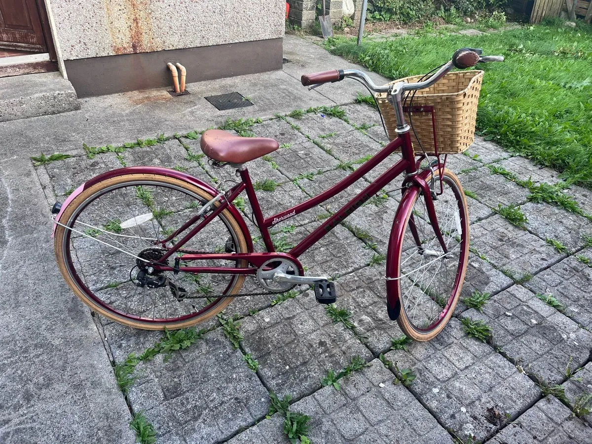 Raleigh Sherwood Bike