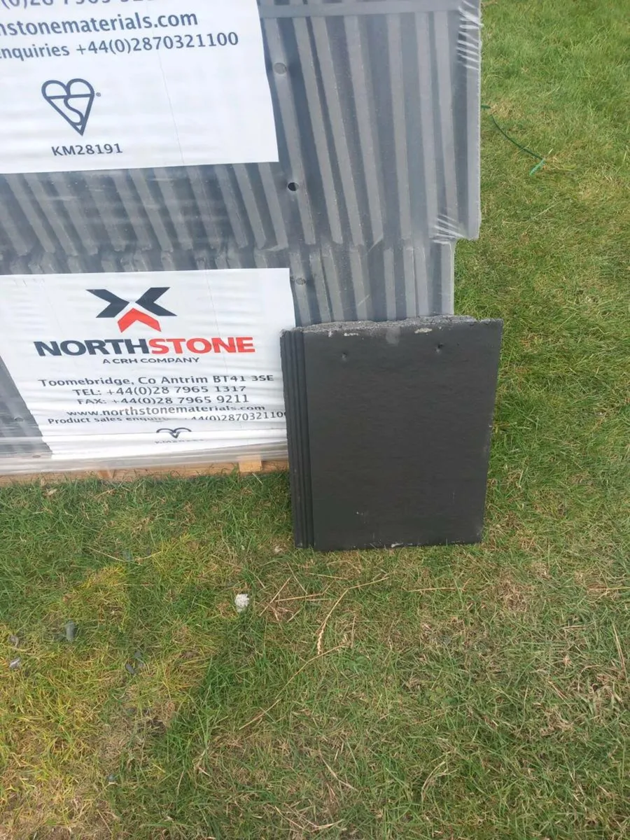 Flat roof tiles - Image 4