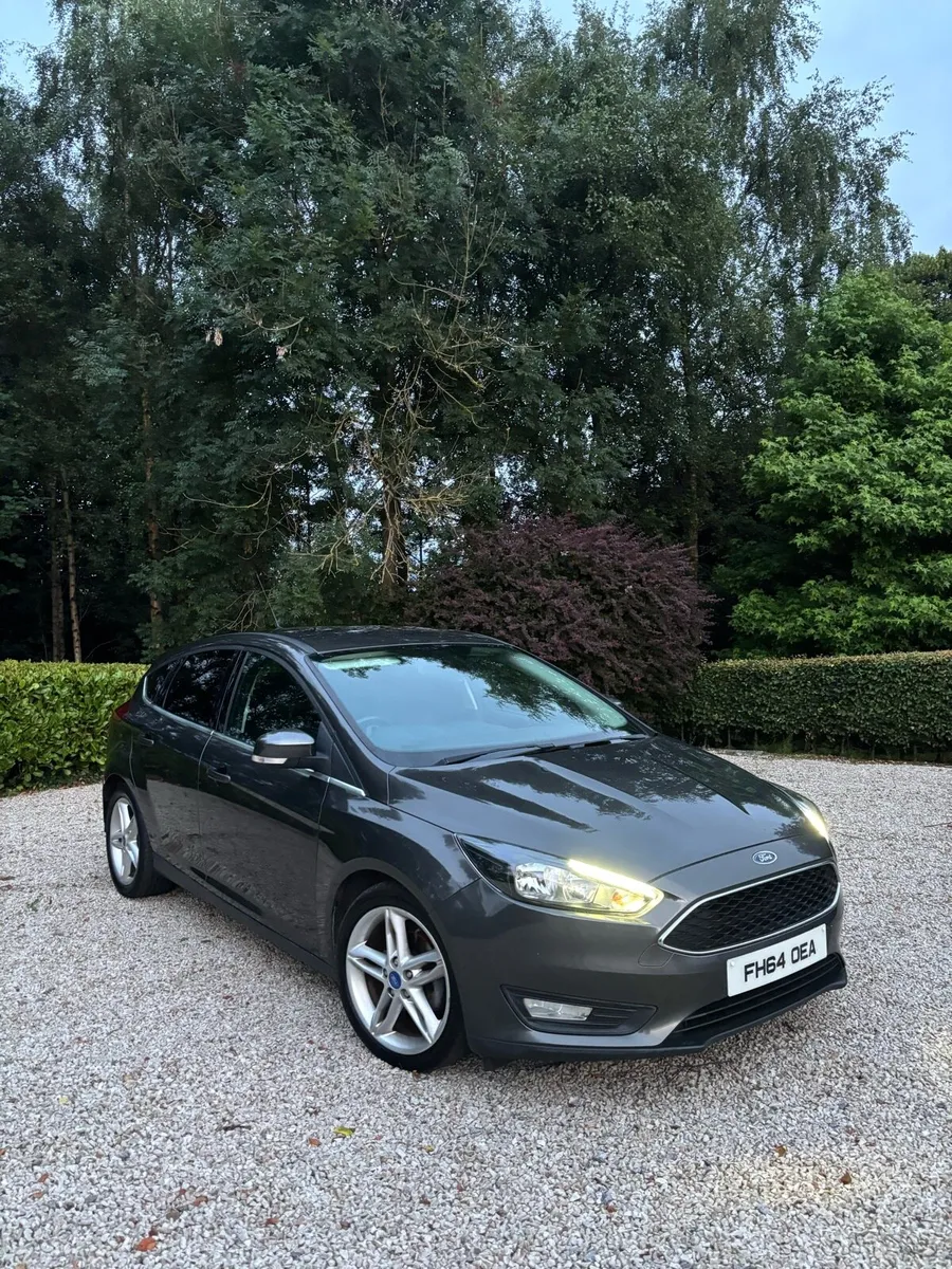 2015 Ford focus - Image 1