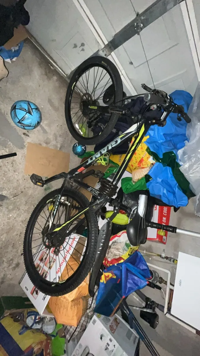 Bicycle - Image 1
