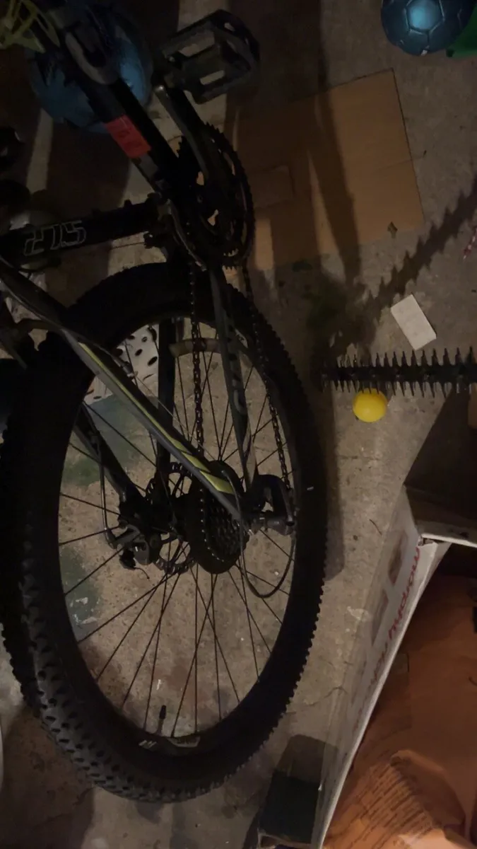 Bicycle - Image 2