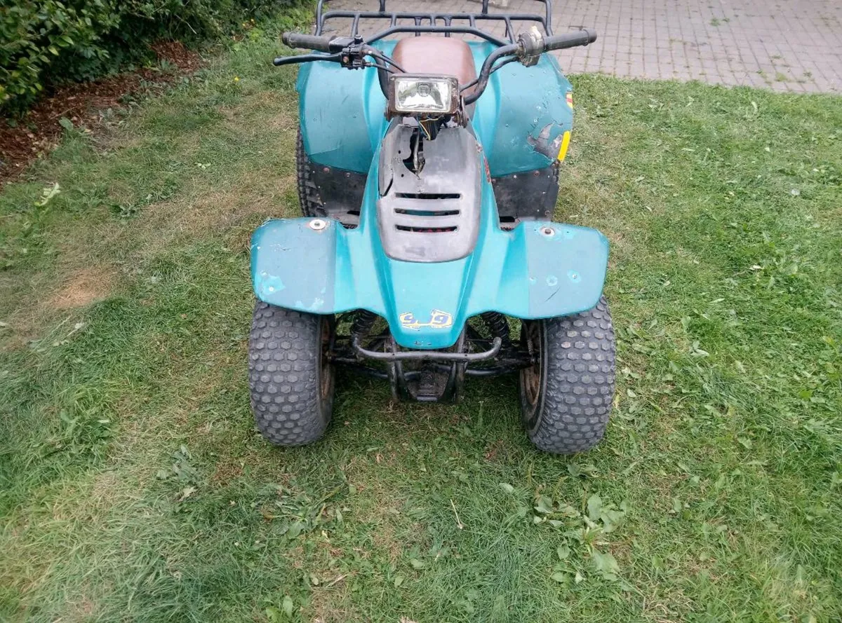 Suzuki Lt160 - Image 2