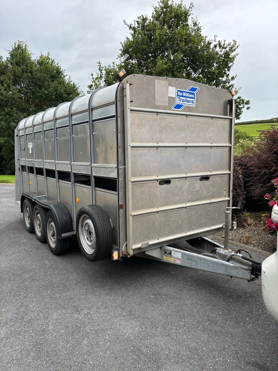 14x6 Ifor Williams cattle box - Image 1