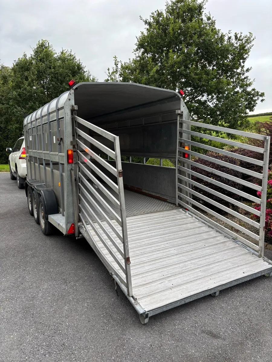 14x6 Ifor Williams cattle box - Image 2