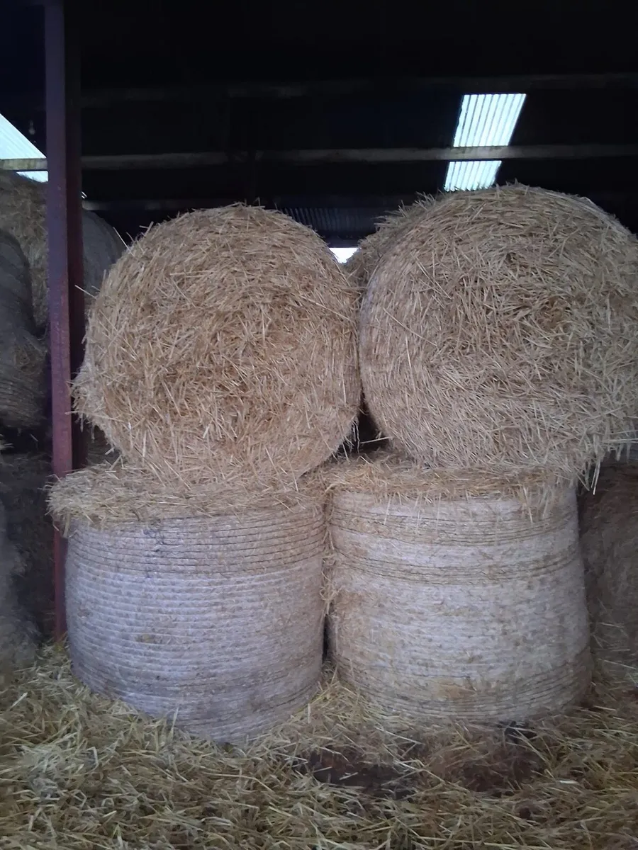 Bales of straw - Image 1