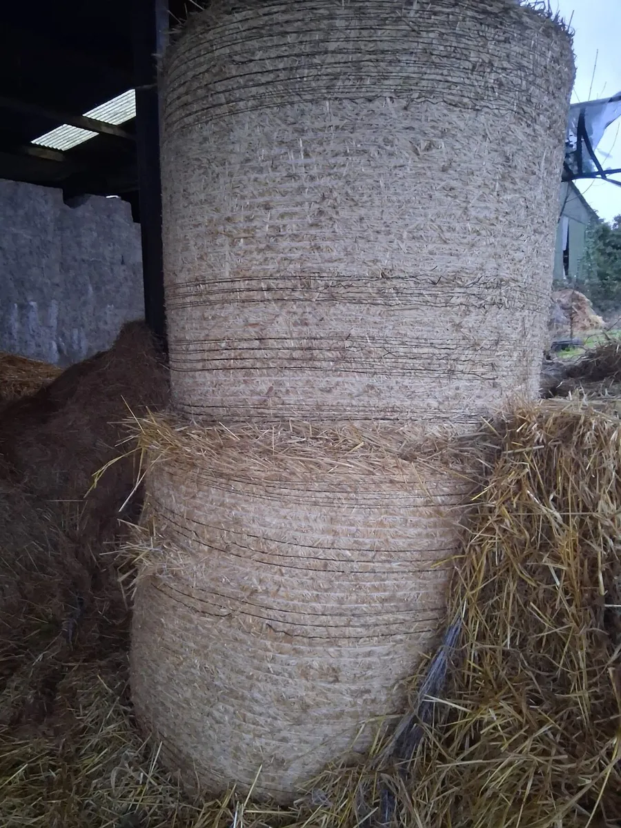 Bales of straw - Image 2