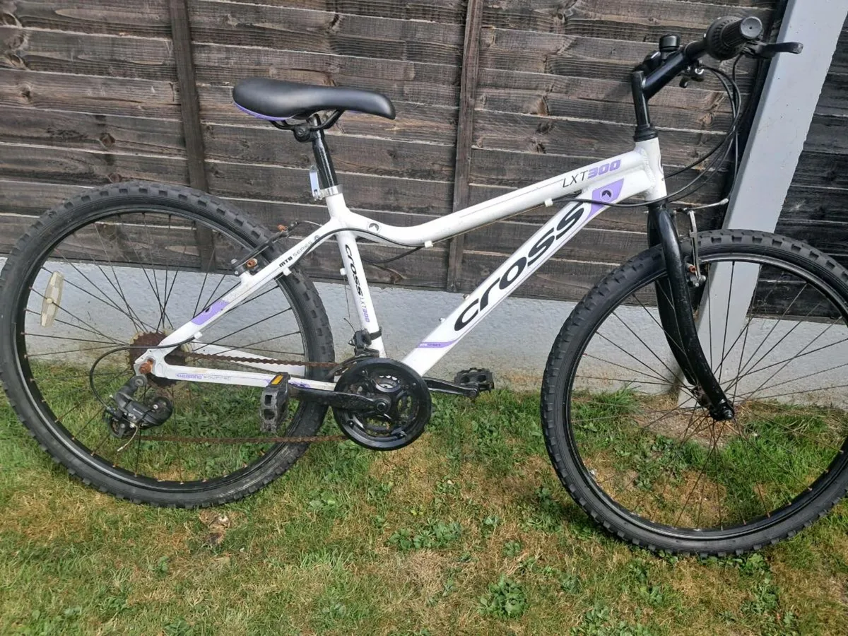Bike - Image 1