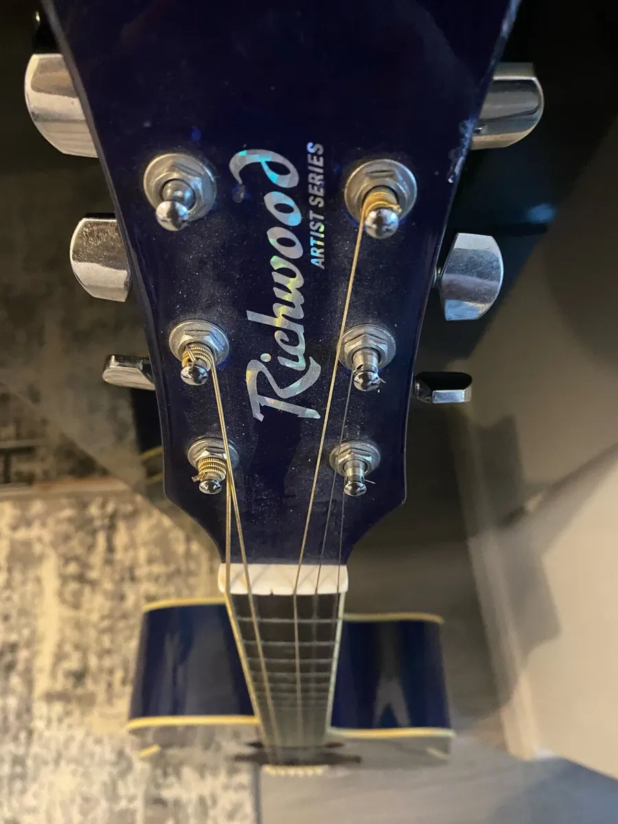 Richwood artist series acoustic guitar w/ gig bag - Image 3