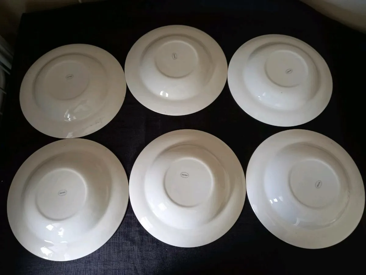 6 Soup Bowl's & Plates - Image 2